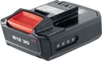 Slide 1 of 4 (selected): B 12-30 12V Battery Compact and extra-light 12V Li-ion battery